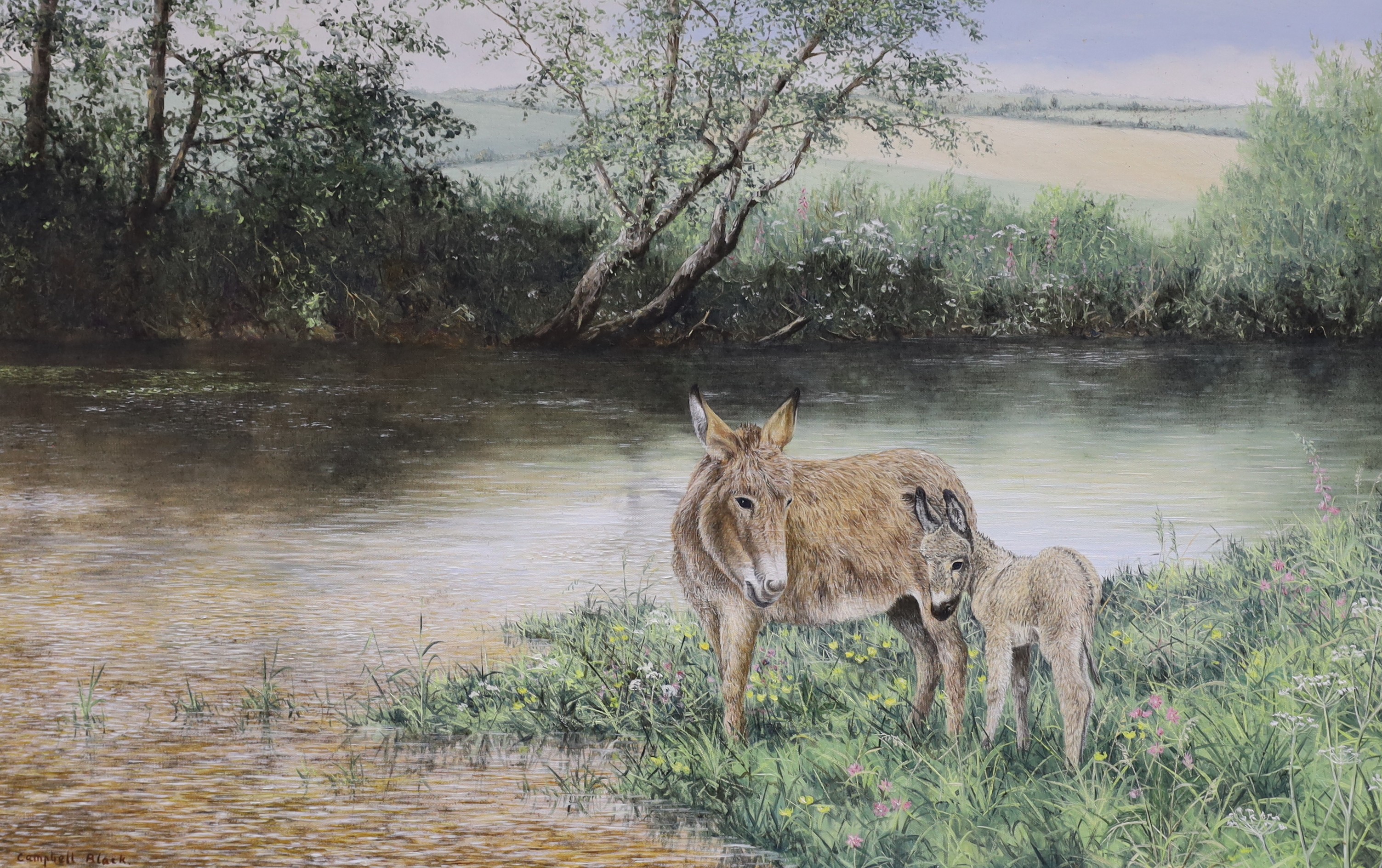 Geoffrey Campbell-Black (b.1925), oil on canvas, Donkey's beside a river, signed, 40 x 62cm